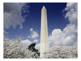 Washington Monument  2007
