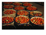 Puerto Rico: Tomatoes