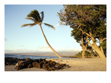 Hawaii: Oahu  2005