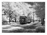 New Orleans: Streetcar