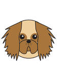 Pekingese