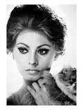 Sophia Loren (1934-)