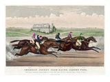 Jerome Park Horse Race  1873