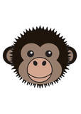 Bonobo