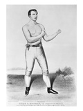 American Boxer  1860