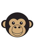 Chimpanzee
