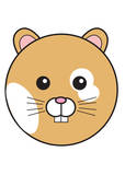 Hampster