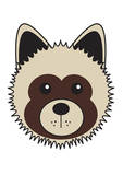 Akita