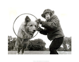 Through The Hoop