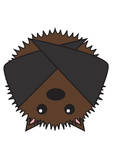 Bat