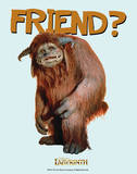 Labyrinth-Friend