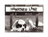 Hangover Lane