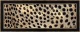 Spots on a Cheetah