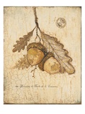 Gilded Oak