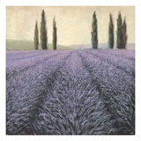 Lavender Horizon Detail
