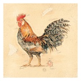 Espresso Plumage Detail