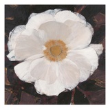 Magical White Cosmos