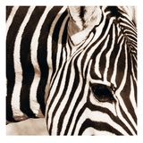 Zebra Pattern