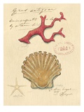 Nature's Curiosities 2