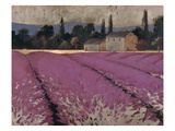 Lavender Days