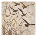Birds in Flight 1
