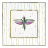 Winged Grasshopper