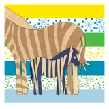 Zebra Family