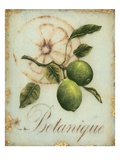 Lime Recollection