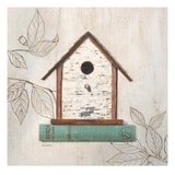 Aviary Home