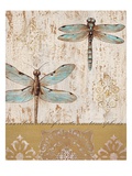 Dragonfly Evolution