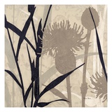 Botanical Elements 3