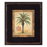 Island Palm
