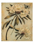 Rhododendron Recollection