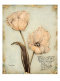Tulip Recollection