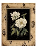 Silver Peony