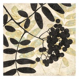 Essential Elements 1
