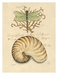 Nature's Curiosities 4