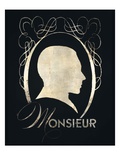 Monsieur Silhouette