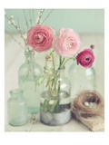 Blooming Bottles