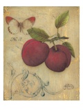 Plum Recollection