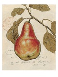 Pear Etching