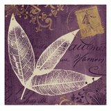 Lavender Laurel
