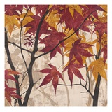 Maple Story 1