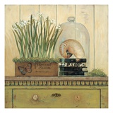 Vintage Garden 2