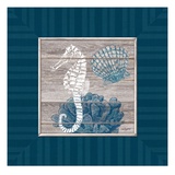 Coastal Dream
