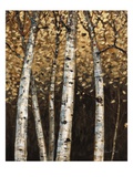 Shimmering Birches 2