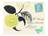 Lime Letter