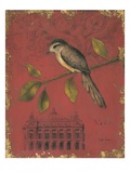 Songbird Recollection