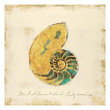 Gilded Ocean Nautilus