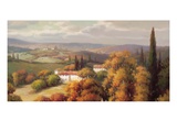 Tuscan Panorama